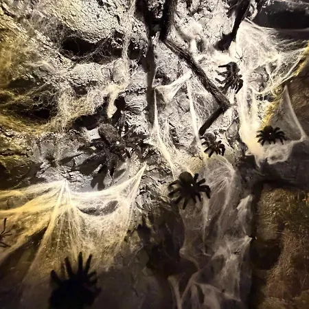 S Harry Potter 2, Immersion Chez Les Sorciers Lejlighed *